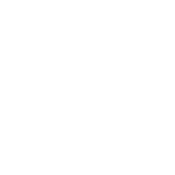 Под ключ за 2-7 дней
